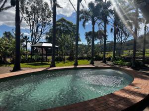 贝利Coolangatta Estate Shoalhaven Heads的周围环绕棕榈树的游泳池