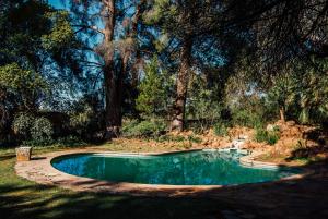 布隆方丹Farm stay at Lavender Cottage on Haldon Estate的一座树木繁茂的庭院内的游泳池
