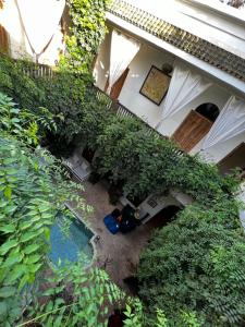马拉喀什瑞德乐考柏尔酒店的植物生长在房子的头顶
