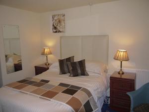 多尔盖罗常春藤旅馆的一间卧室配有一张带两盏灯和镜子的床