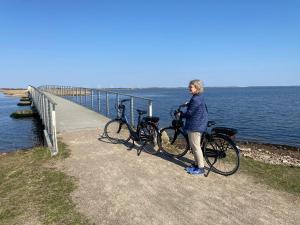 森讷维颂德维希小屋及露营地的站在码头上两辆自行车旁的女人