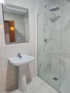 阿尔科斯-德拉弗龙特拉艾尔拉戈湖滨餐厅酒店的一间带水槽和淋浴的浴室