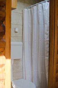 维尔蒂尼克Brvnare Ala Vrdnik的浴室配有白色的浴帘和卫生间