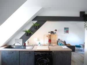 佩罗斯-吉雷克CLINT HOUSE - Appartement "Fou de Bassan"的一个带水槽和洗碗机的厨房