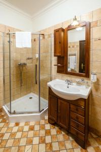 蒂米什瓦拉尤色菲尹公寓酒店的一间带水槽和淋浴的浴室
