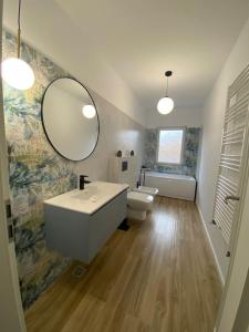 锡比乌Cloud House的一间带水槽、卫生间和镜子的浴室