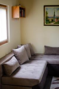 维尔蒂尼克Brvnare Ala Vrdnik的客厅设有一张沙发,客厅设有窗户