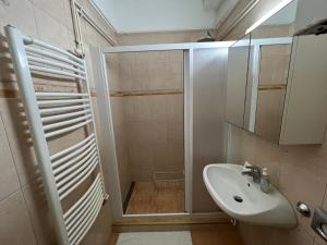 布达佩斯Family Friendly Apartman的带淋浴和盥洗盆的浴室