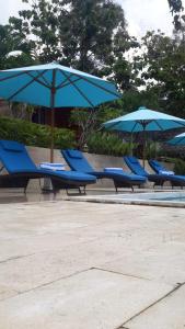 TepusLight Blue Villa的一排带遮阳伞的蓝色躺椅