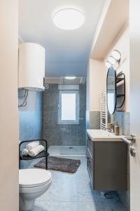 卢布尔雅那Vila Valentina的一间带卫生间、水槽和镜子的浴室