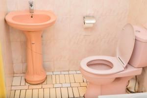 利隆圭Avon Garden Apartments Area 25的一间带粉红色卫生间和盥洗盆的浴室