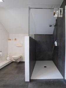 艾珀伯恩施米德爱培尔公寓的浴室设有玻璃淋浴间和卫生间