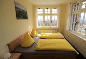 ScheibenbergBürger- und Berggasthaus Scheibenberg的一间卧室设有两张床和两个窗户。