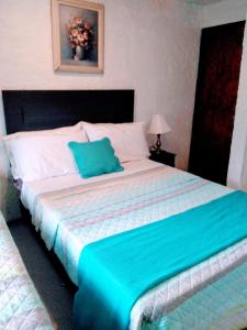 埃斯特角城Bed and breaksfast的一间卧室配有一张大床,上面有蓝色的枕头