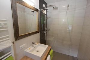 Nikolsdorf斯坦内霍夫旅馆的一间带水槽和淋浴的浴室