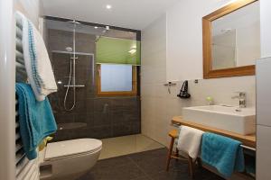 Nikolsdorf斯坦内霍夫旅馆的浴室配有卫生间、盥洗盆和淋浴。