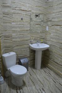 第比利斯瑞内森斯第比利斯酒店的一间带卫生间和水槽的浴室