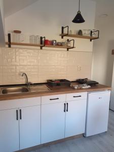 Crni VrhVila Vrh的厨房配有白色橱柜和水槽