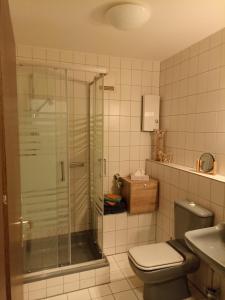 菲希特尔山区巴特贝内克Gemütliches Apartment in Bad Berneck的带淋浴、卫生间和盥洗盆的浴室