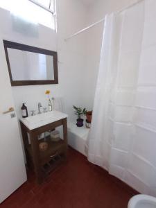 布宜诺斯艾利斯Aristobulo的一间带水槽和淋浴帘的浴室