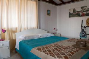 巴伊亚英格莱萨Cabañas Ecologicas Alto Cañizares的一间卧室配有一张带蓝色毯子的床