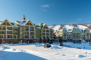 蓝山Blue Mountain Resort Mosaic Suites的雪地中的度假胜地