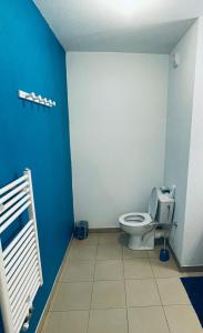 马赛Les docks libres sud的一间带卫生间和蓝色墙壁的浴室