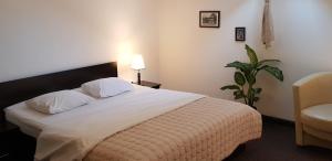 皮亚特拉-尼亚姆茨卡萨德鲁每图雷旅馆的卧室配有一张白色的大床,种植了植物