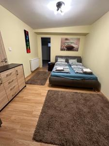 尼赖吉哈佐City Apartman的一间卧室配有一张床、梳妆台和地毯。