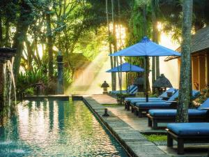 茂物诺富特茂物高尔夫度假酒店的一个带蓝色躺椅和遮阳伞的游泳池