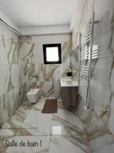 塔格梅斯Villa Dar lynoute的一间带卫生间和水槽的浴室