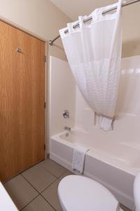 巴克斯特Rapid River Lodge的浴室配有卫生间、浴缸和水槽。