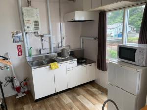 小樽Zenibako House 3F-RoomA的一间带水槽和微波炉的小厨房