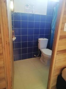 圣玛尔塔tayrona breeze的一间带卫生间的浴室和蓝色瓷砖墙