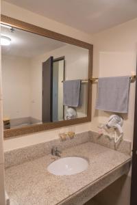 碧瑶2 bedroom at Bristle Ridge的一间带水槽和大镜子的浴室