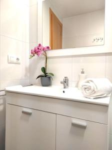 法罗德卡勒拉Precioso apartamento en el Faro de Cullera的白色的浴室,配有水槽和植物