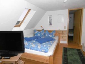 德雷施维茨Rügen Fewo 38的一间卧室配有一张带蓝色枕头的床和电视。