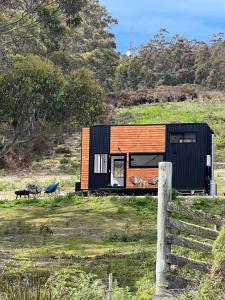 South BrunyAdina Tiny House Bruny Island的山上的一座黑色和橙色的小房子