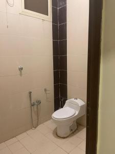 哈伊勒هوتيل حايل للشقق المفروشة يتوفر شهري سنوي的浴室位于隔间内,设有白色卫生间。