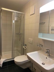 瓦尔·蒂利兹Apparthotel Mountain River Resort的浴室配有卫生间、淋浴和盥洗盆。