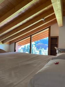 瓦尔·蒂利兹Apparthotel Mountain River Resort的卧室设有山景大窗户