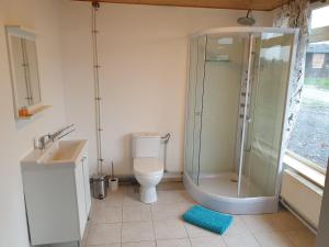 ResteigneWine & Pork Cottage - les Brûlins的带淋浴、卫生间和盥洗盆的浴室