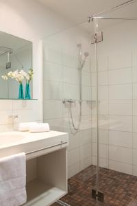 Neuhausen ob EckAircraft Hotel & Events的带淋浴和盥洗盆的浴室
