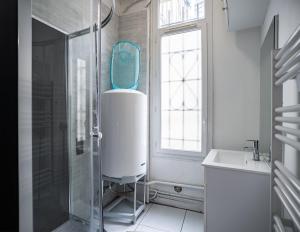 特鲁瓦Le Colombage-3 chambres- Hypercentre的带淋浴、盥洗盆和镜子的浴室