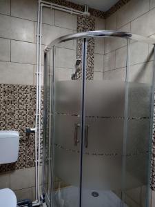 萨提克ZEN SPOT Satic的浴室里设有玻璃门淋浴