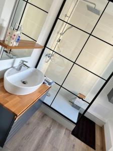 图尔昆Très belle appartement plein centre ville的浴室配有白色水槽和淋浴。