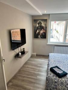 图尔昆Très belle appartement plein centre ville的一间卧室配有一张床和一台平面电视