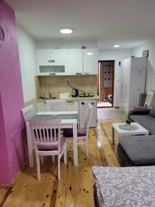 卡鲁德杰尔斯科巴尔Apartmani Lotos的厨房以及带桌椅的起居室。