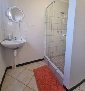 吕德里茨Seabreeze Accommodation的带淋浴、盥洗盆和淋浴的浴室