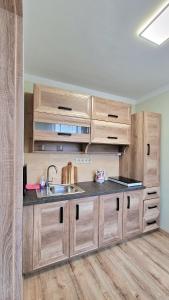 特普利采TEPLA的一个带木制橱柜和水槽的厨房